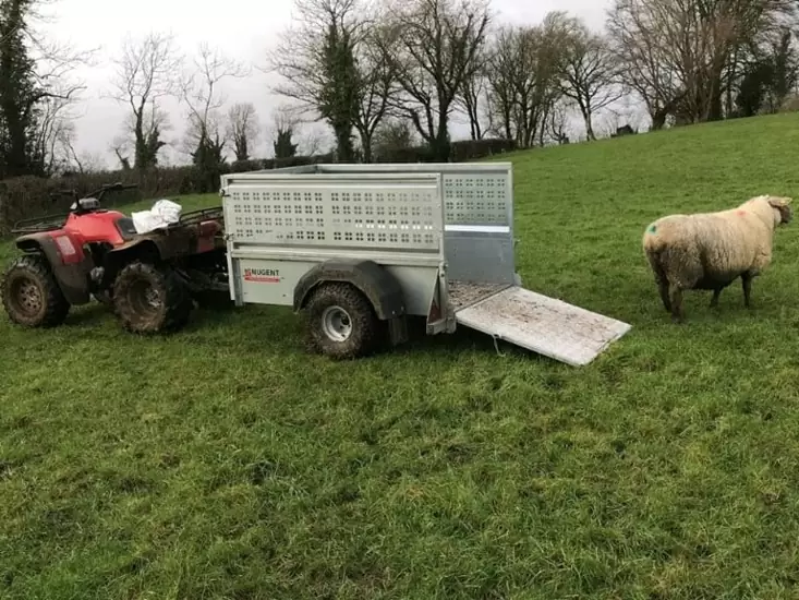 £1,234.00 Nugent 6x3ft off road quad trailer with meshsides sheep farm trailer